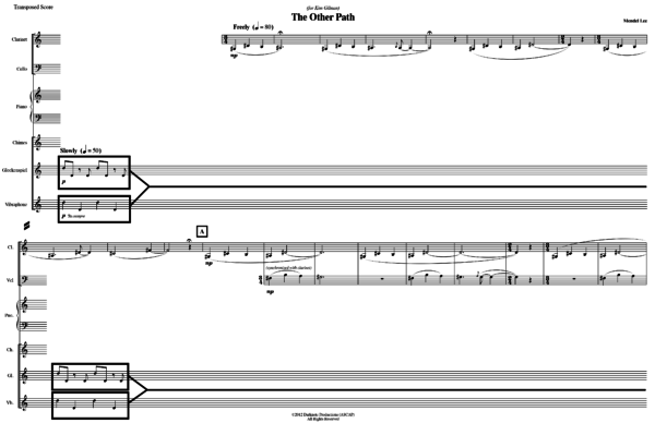 The Other Path for chamber sextet (cl, vlc, pf, 3perc)