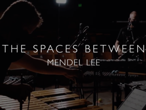 The Spaces Between for percussion quartet